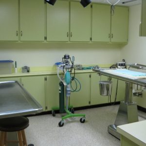 The surgery operating suite