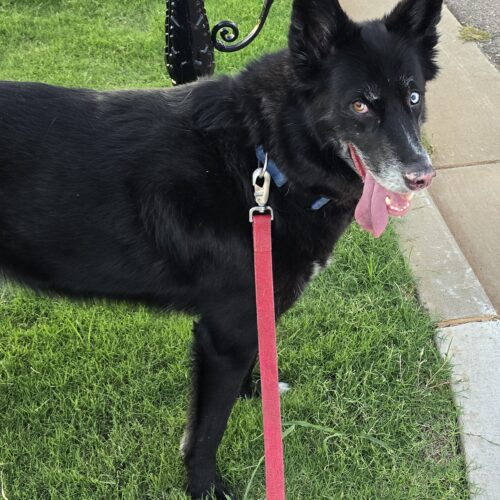 Boris - 07.03.25